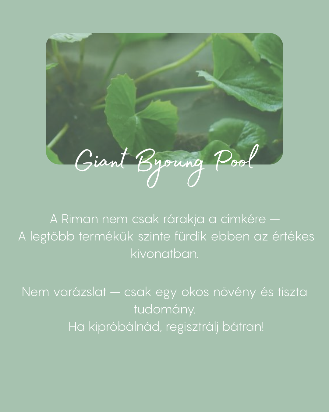 Giant Byoung Pool — RIMAN termékcsalád